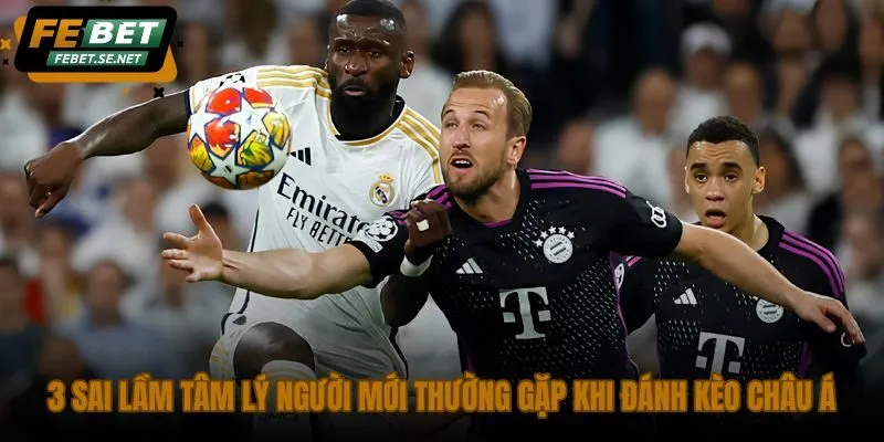 3 sai lam tam ly nguoi moi thuong gap khi danh keo chau a 3 sai lam tam ly nguoi moi thuong gap khi danh keo chau a