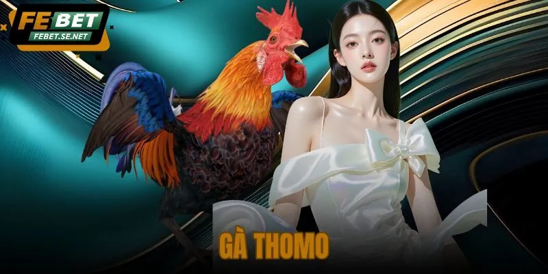 Gà Thomo
