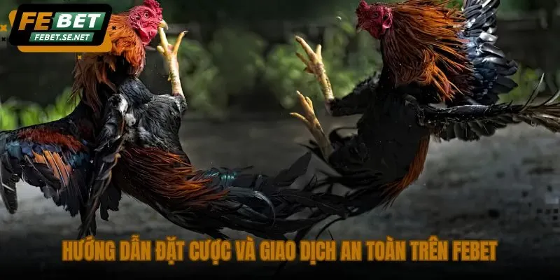 huong dan dat cuoc va giao dich an toan tren febet huong dan dat cuoc va giao dich an toan tren febet