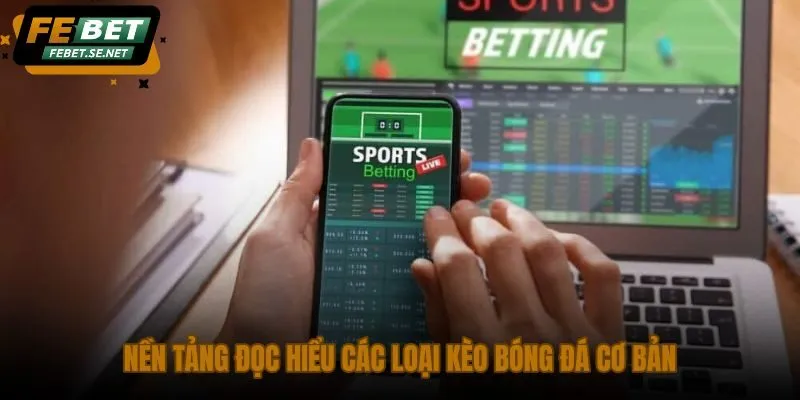 nen tang doc hieu cac loai keo bong da co ban