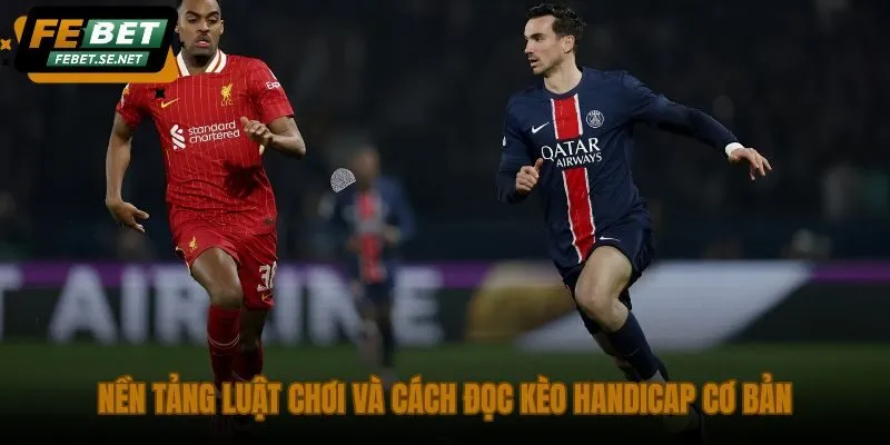 nen tang luat choi va cach doc keo handicap co ban nen tang luat choi va cach doc keo handicap co ban