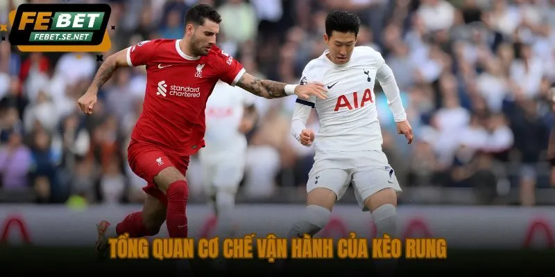 tong quan co che van hanh cua keo rung tong quan co che van hanh cua keo rung